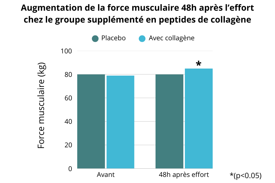 Augmentation de la force musculaire 48h après l’effort chez le groupe supplémenté en peptides de collagène